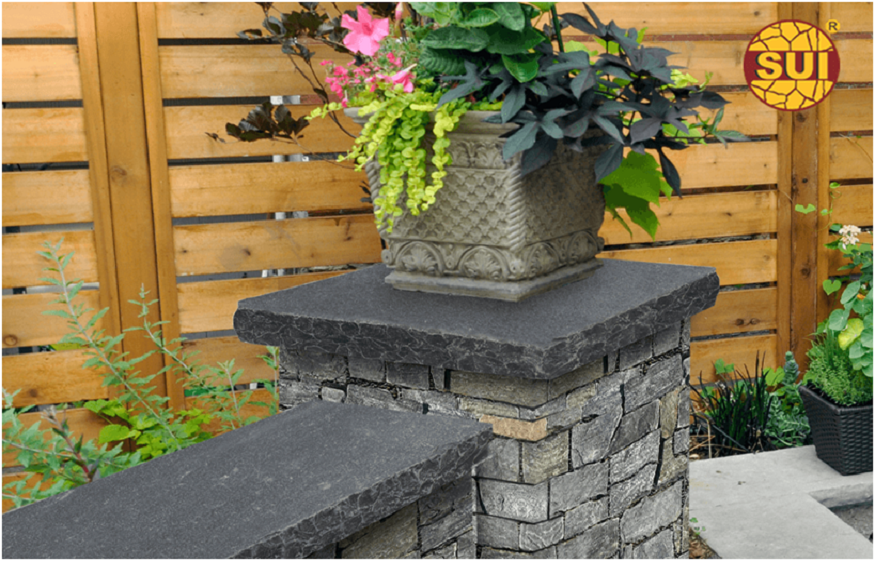 Smart Choices: Your Complete Guide to Finding the Perfect Wall Cap Distributor