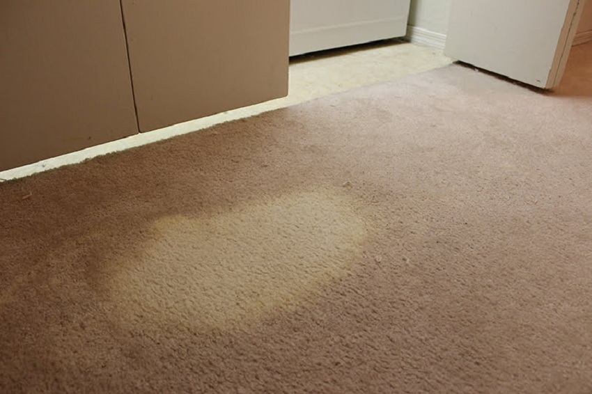 Bleach Stains on Your Carpet